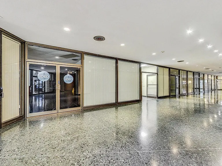 505 N Lake Shore Dr #2412 — Photo 30
