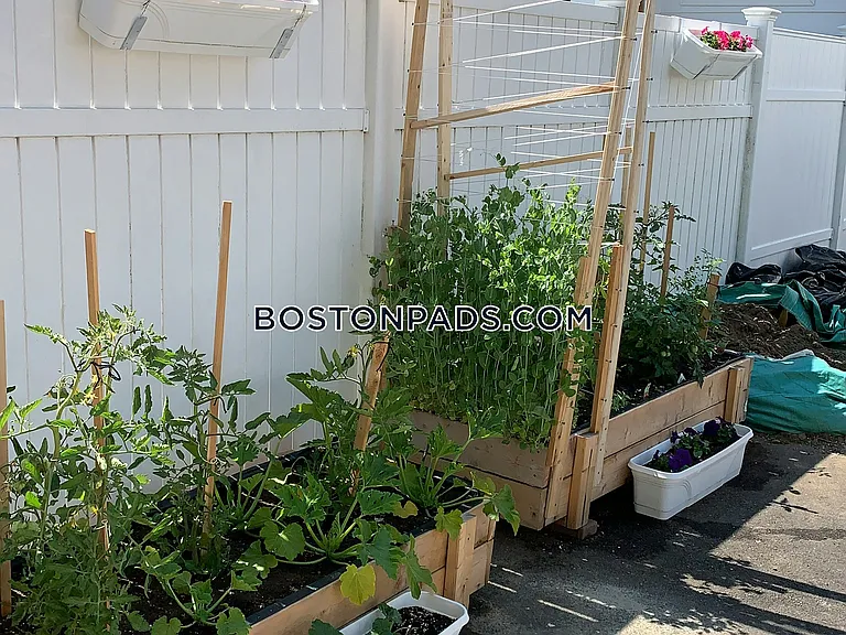 7 Webster St #1 — Photo 29