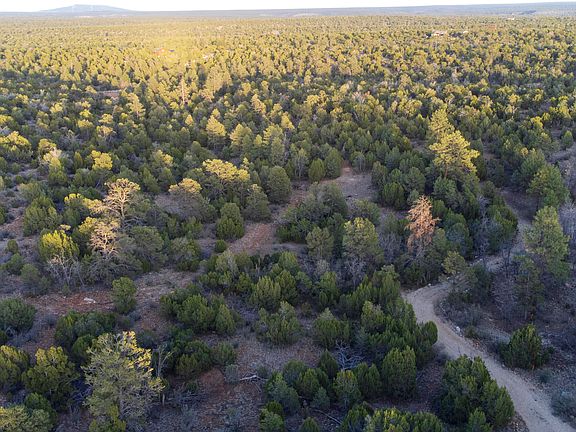 4th image of 3633 Sunset Ridge Loop