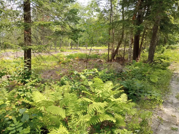 Lot #6 Milbrook Road, Bridgton, ME 04009