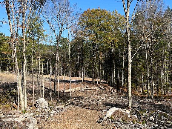 3rd image of Map 227 Lot 007 Underwood Road