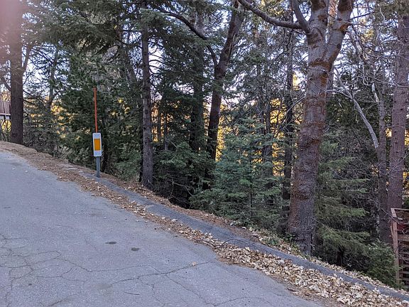 4th image of 0 Forest Ln