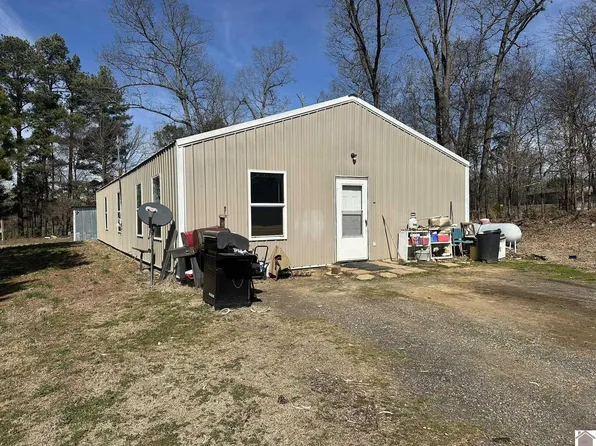2701 Swan Rd, Farmington, KY 42040