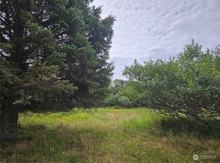634 Canal Dr NE, Ocean Shores, WA