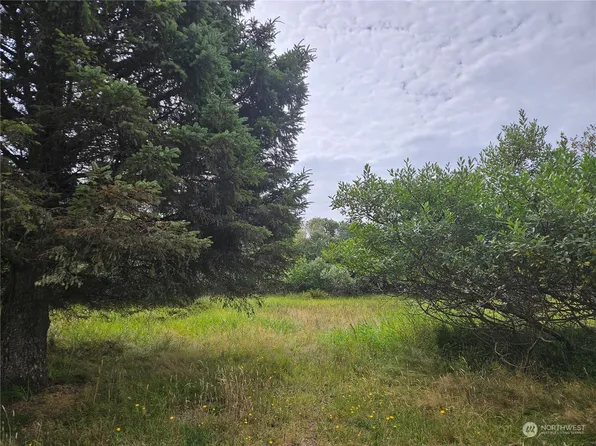 634 Canal Drive NE, Ocean Shores, WA 98569