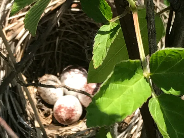 6624 Fairmount Hwy SE, Calhoun, GA 30701