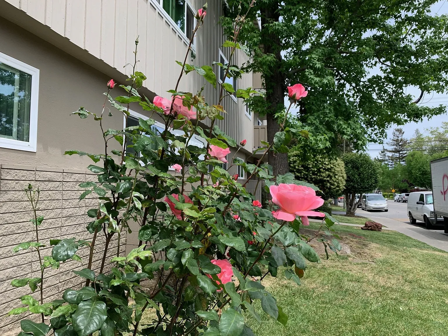 240 Ortega Avenue — Photo 4