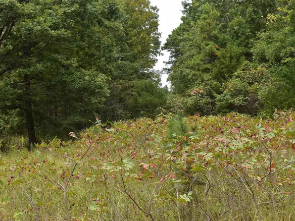 (undisclosed Address), Shirley, AR 72153