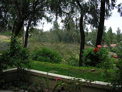 View from back patio