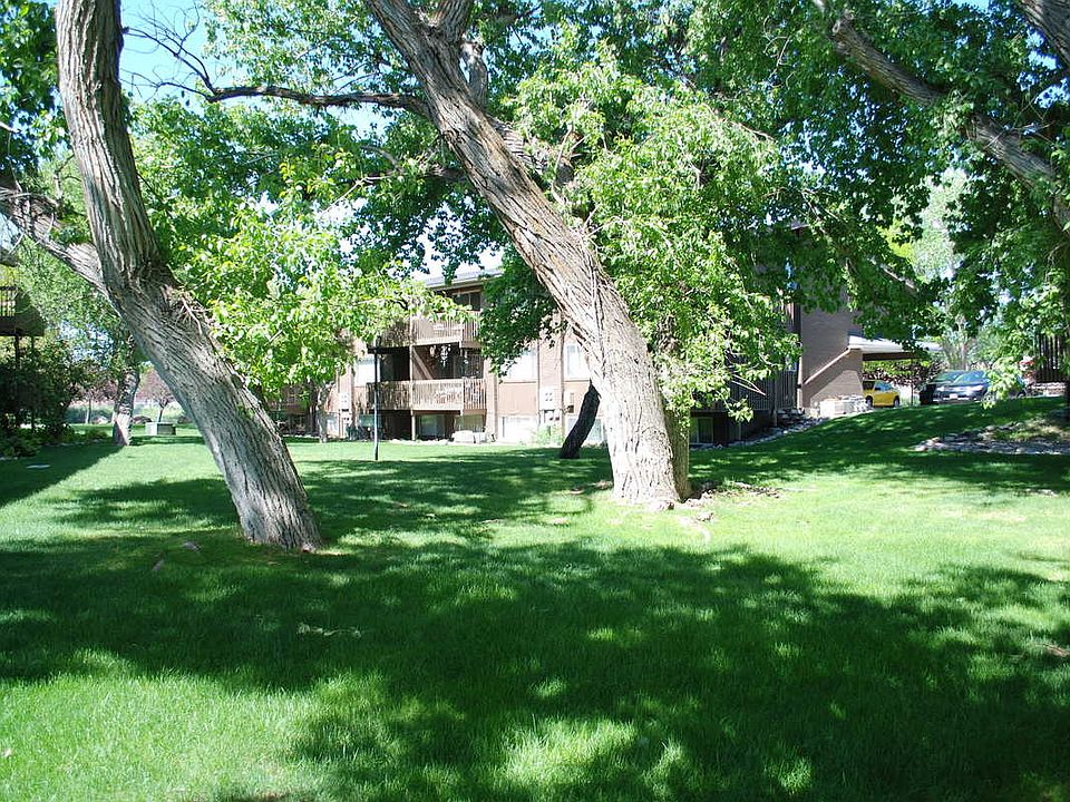 Back Yard view 2