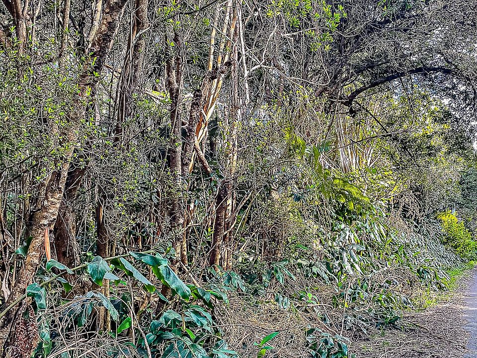 2nd image of Haunani Rd Lot 7