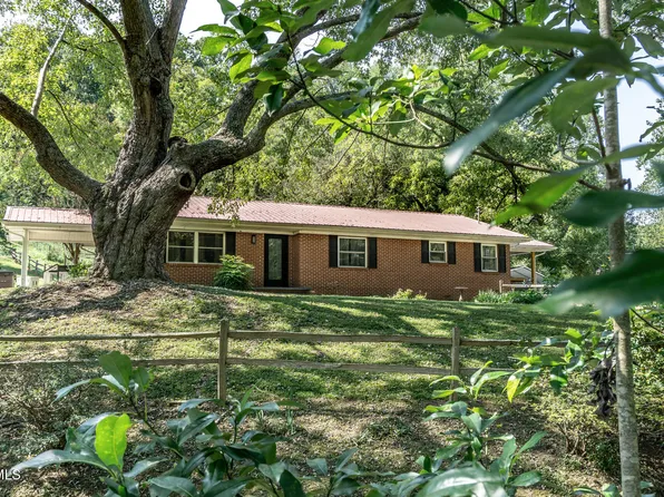 431 Big Springs Dr, Mosheim, TN 37818