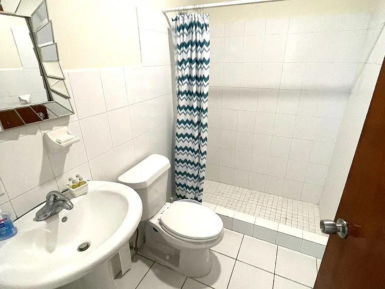 Buena Vida Apartment 102 Bathroom