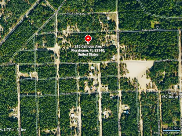 215 CALHOUN Avenue, Florahome, FL 32140