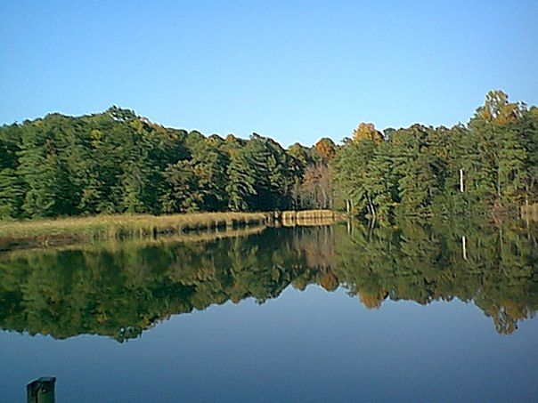 summer view