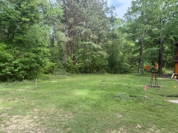 34 Gov Latham Cir, Pointblank, TX 77364