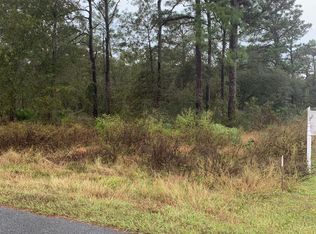 Jaybird Rd, Weeki wachee, FL 34614