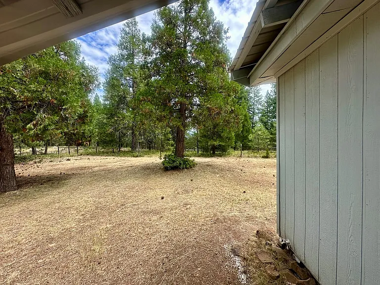 11405 Hamaker Mountain Rd — Photo 18