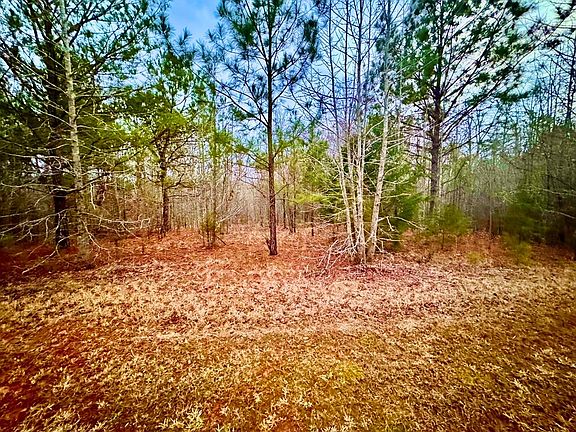 5th image of 517 Terrapin Pointe Rd