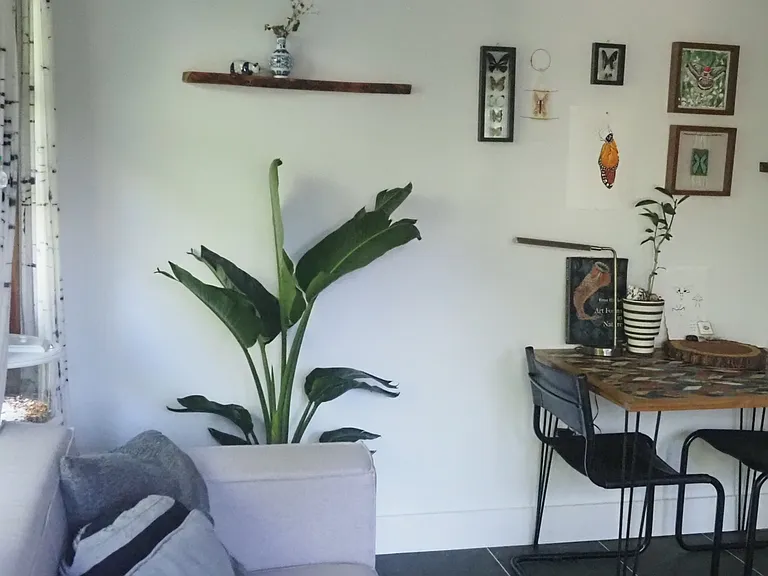 705 Holly Ave — Photo 26