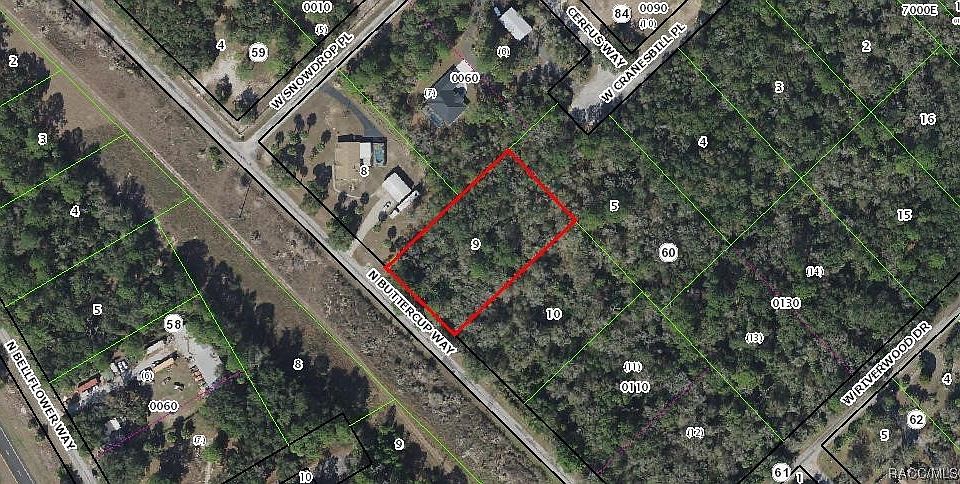 1st image of 8829 N Buttercup Way