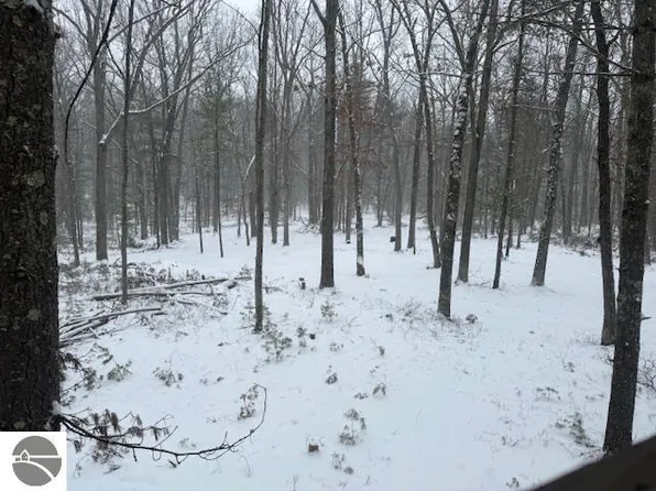 0 N Slawson Dr, National City, MI 48748