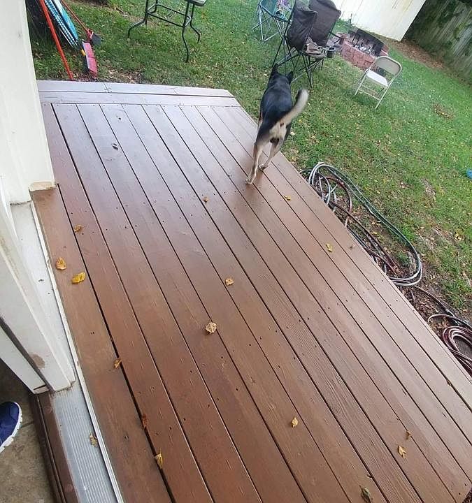 Back porch to large yard