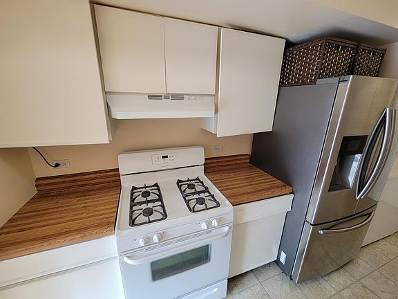 Kitchen oven and fridge