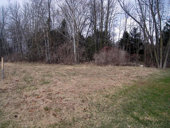 Trees bordering the back