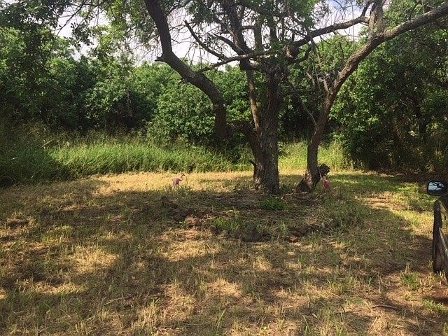 1st image of 94-6298 Pele St Lot 12