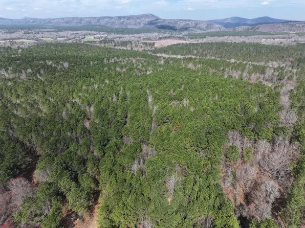 J Dunson Rd Tract 2, Langley, AR 71952