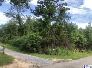 1167 Hillcrest Rd, Hartsville, SC 29550