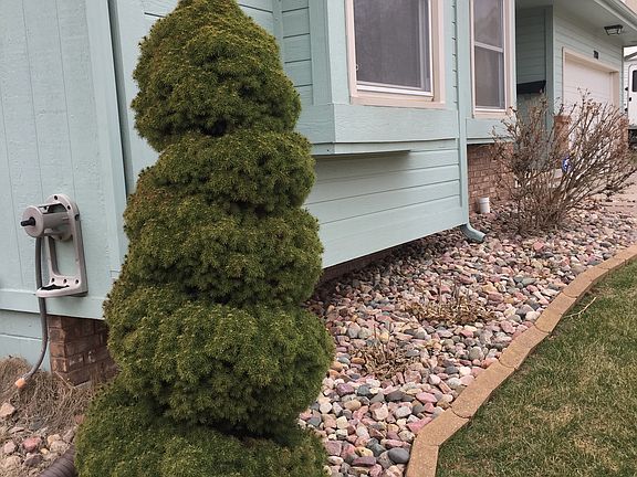 3rd image of 7900 Aspen Ct