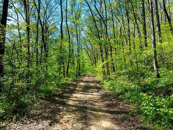 4th image of 0 River Rd