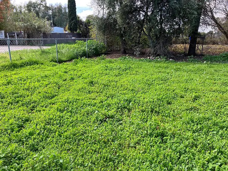 N Piedra Rd — Photo 11