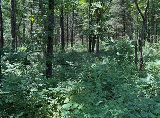 000 Moonshadow Rd Road, Niangua, MO 65713