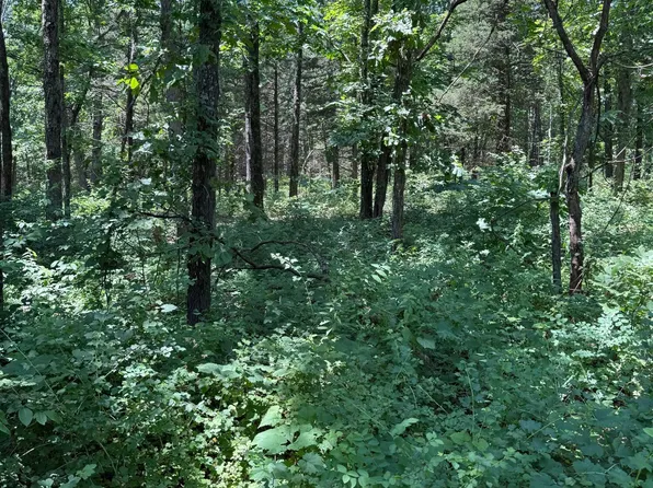 000 Moonshadow Rd Road, Niangua, MO 65713