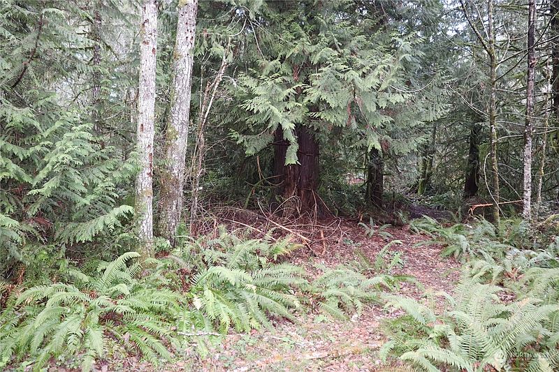 3rd image of 0 Lackey Road NW