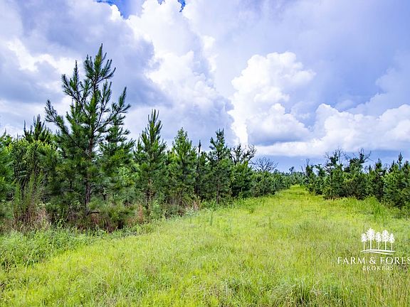 4th image of Xx1 North Rd