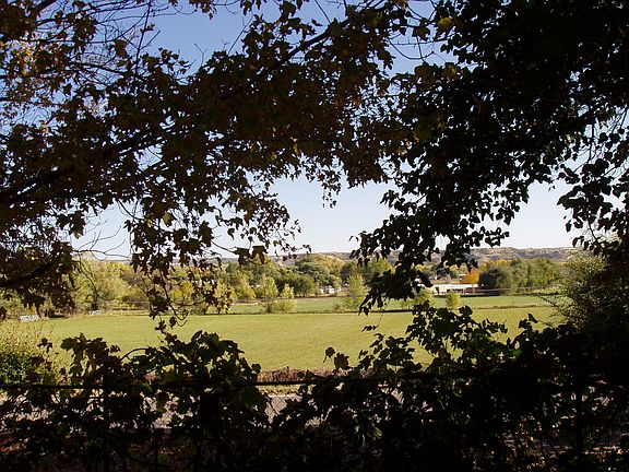 View from front patio