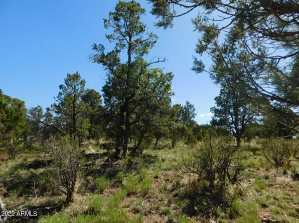 7267 Red Feather Court #156, Happy Jack, AZ 86024