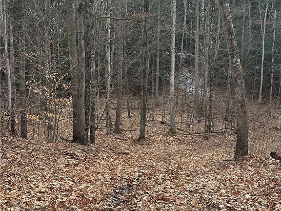 4th image of 370 Ellis Creek Rd