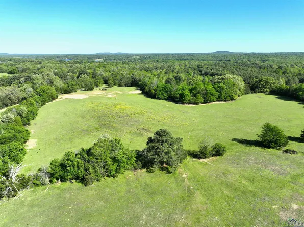 Tbd Bison Rd, Gilmer, TX 75644
