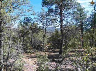 30 Rivers West Dr, Reserve, NM 87830