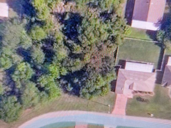 5th image of 1007 Pantheon Dr