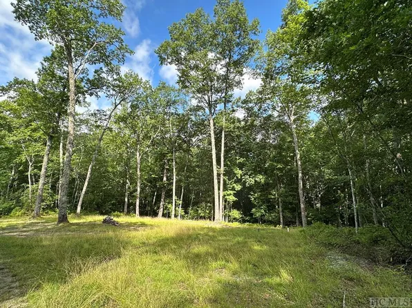 2463 Great Falls Drive, Glenville, NC 28736