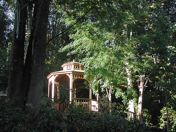 Backyard Gazebo Summer