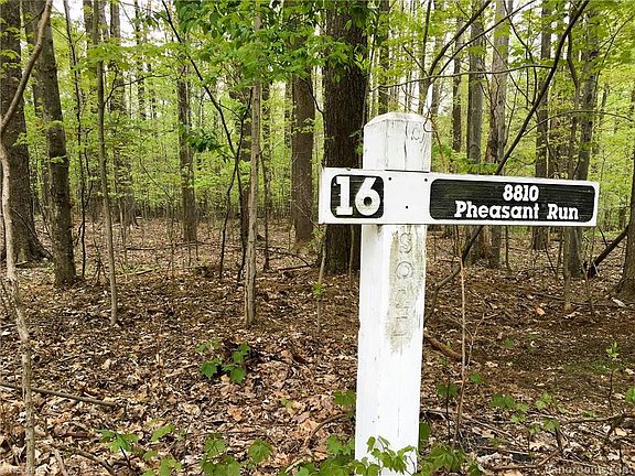 2nd image of 8810 Pheasant Run Ln Lot 16