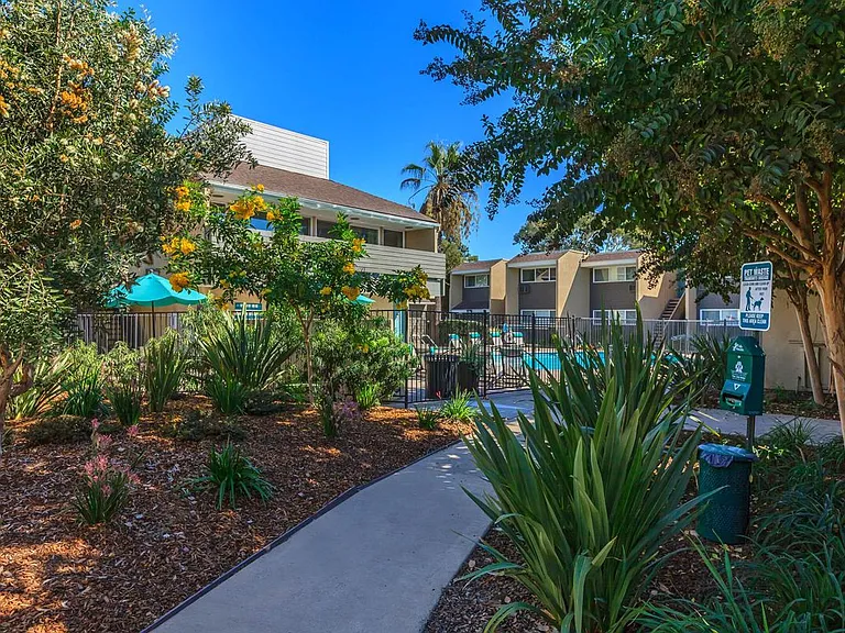 Vue at Lake Murray Apartments — Photo 4