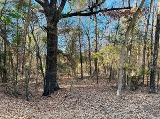 32 & 33 Winding Ln, Mount Vernon, TX 75457